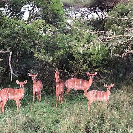 Msunduze River Lodge Mkuze Eksteriør bilde