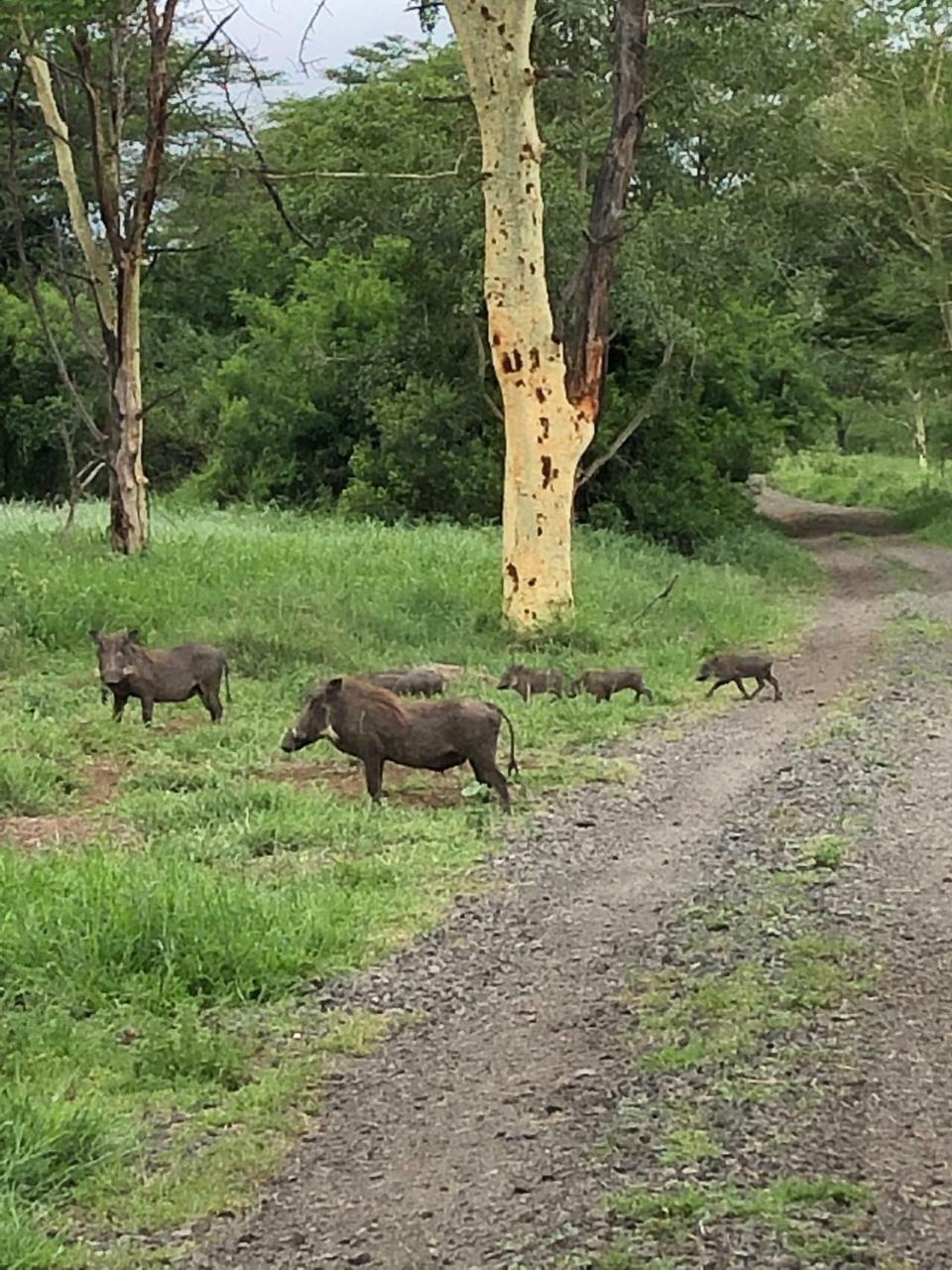 Msunduze River Lodge Mkuze Eksteriør bilde