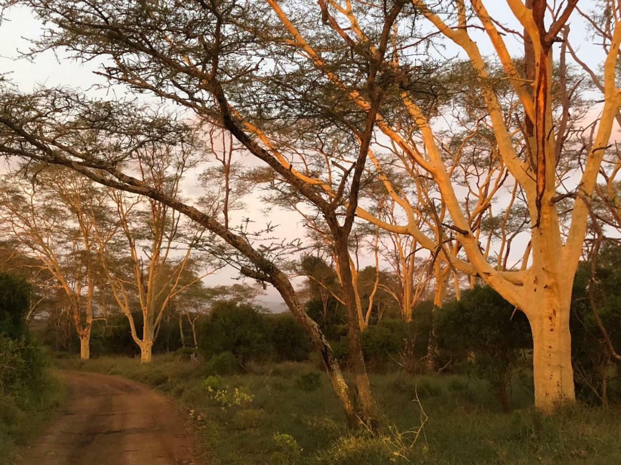 Msunduze River Lodge Mkuze Eksteriør bilde